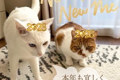 2023新年のご挨拶